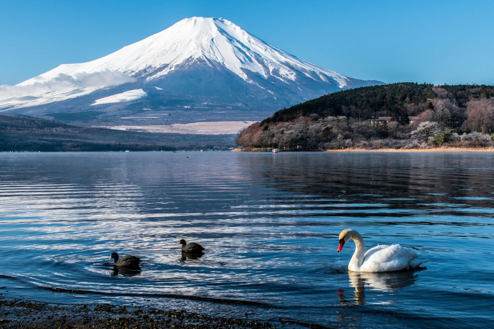 Giappone - Fujinomiya, Shizuoka - Monte Fuji