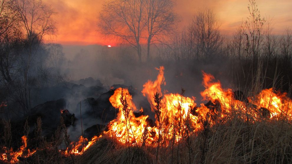 Incendio estivo